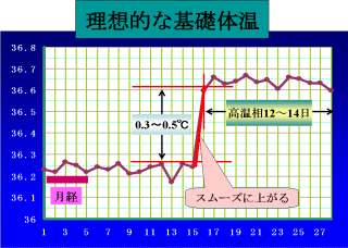 理想的な基礎体温