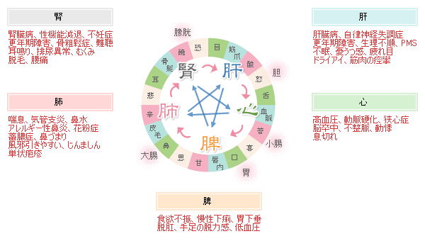 五臓のバランスチェック